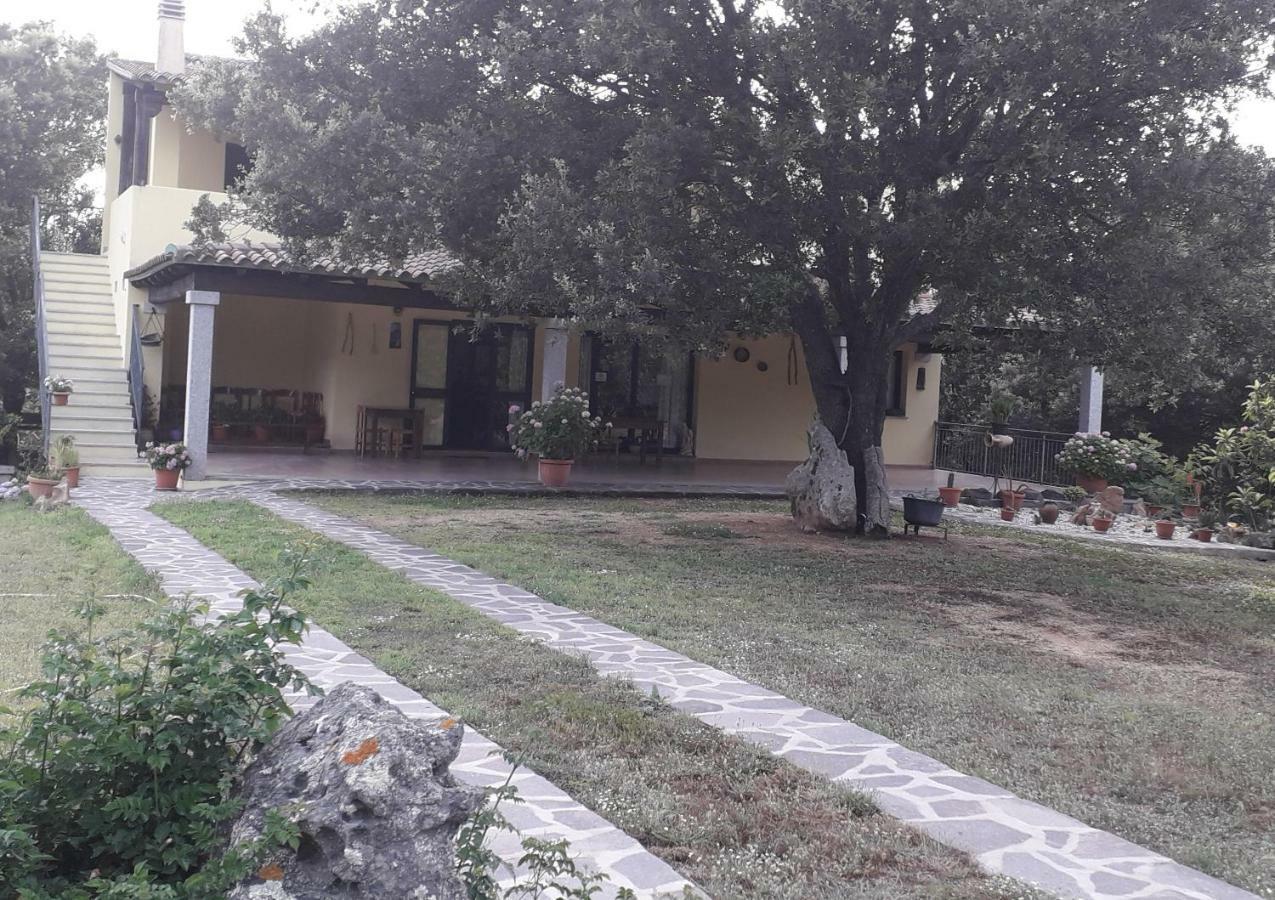 Agriturismo La Tuva Villa Padru Exterior photo